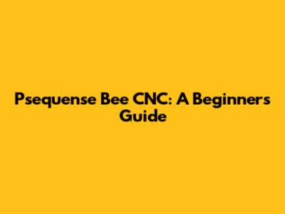 Psequense Bee CNC: A Beginner's Guide