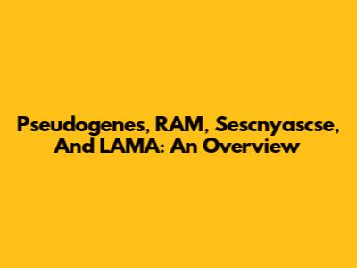 Pseudogenes, RAM, Sescnyascse, And LAMA: An Overview
