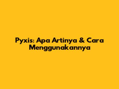 Pyxis: Apa Artinya & Cara Menggunakannya