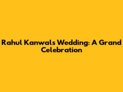 Rahul Kanwal's Wedding: A Grand Celebration