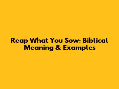 Reap What You Sow: Biblical Meaning & Examples
