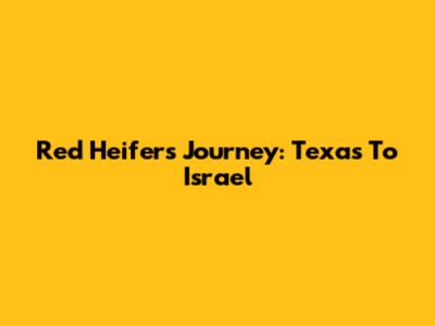 Red Heifers' Journey: Texas To Israel