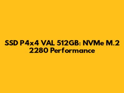 SSD P4x4 VAL 512GB: NVMe M.2 2280 Performance