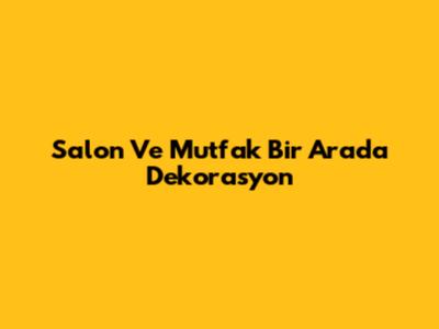 Salon Ve Mutfak Bir Arada Dekorasyon