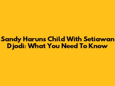 Sandy Harun's Child With Setiawan Djodi: What You Need To Know