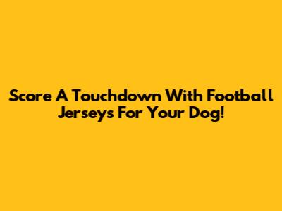 Score A Touchdown With Football Jerseys For Your Dog!