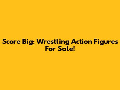 Score Big: Wrestling Action Figures For Sale!