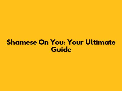 Shamese On You: Your Ultimate Guide