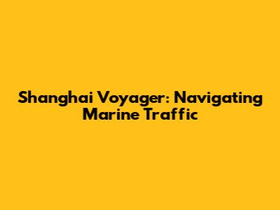 Shanghai Voyager: Navigating Marine Traffic