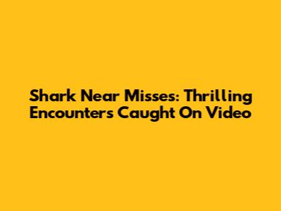 Shark Near Misses: Thrilling Encounters Caught On Video