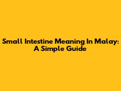 Small Intestine Meaning In Malay: A Simple Guide