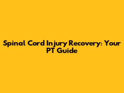 Spinal Cord Injury Recovery: Your PT Guide