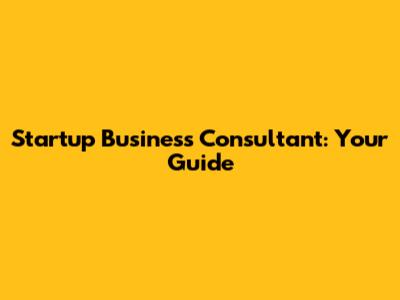 Startup Business Consultant: Your Guide