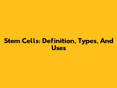 Stem Cells: Definition, Types, And Uses