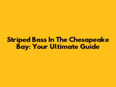 Striped Bass In The Chesapeake Bay: Your Ultimate Guide