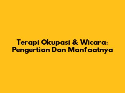 Terapi Okupasi & Wicara: Pengertian Dan Manfaatnya