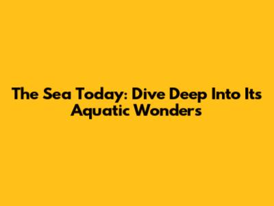 The Sea Today: Dive Deep Into Its Aquatic Wonders