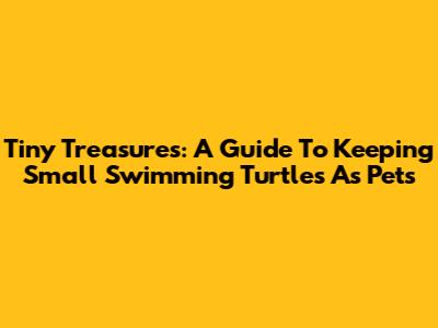 Tiny Treasures: A Guide To Keeping Small Swimming Turtles As Pets