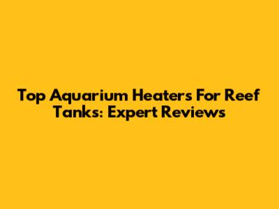 Top Aquarium Heaters For Reef Tanks: Expert Reviews