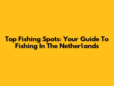 Top Fishing Spots: Your Guide To Fishing In The Netherlands