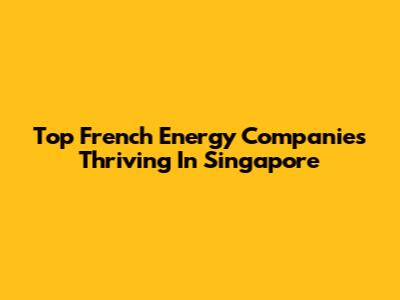 Top French Energy Companies Thriving In Singapore