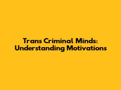 Trans Criminal Minds: Understanding Motivations