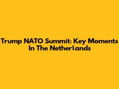 Trump NATO Summit: Key Moments In The Netherlands