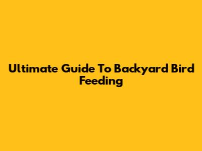Ultimate Guide To Backyard Bird Feeding