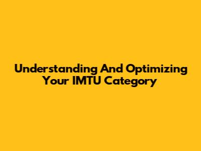 Understanding And Optimizing Your IMTU Category