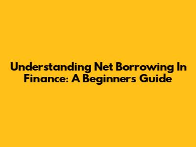 Understanding Net Borrowing In Finance: A Beginner's Guide