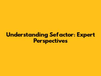 Understanding Sefactor: Expert Perspectives