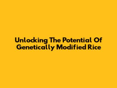 Unlocking The Potential Of Genetically Modified Rice