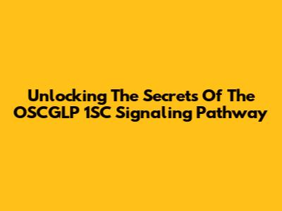 Unlocking The Secrets Of The OSCGLP 1SC Signaling Pathway