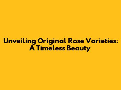 Unveiling Original Rose Varieties: A Timeless Beauty
