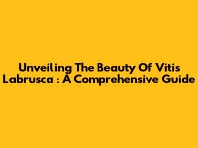 Unveiling The Beauty Of *Vitis Labrusca*: A Comprehensive Guide