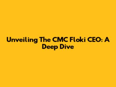 Unveiling The CMC Floki CEO: A Deep Dive