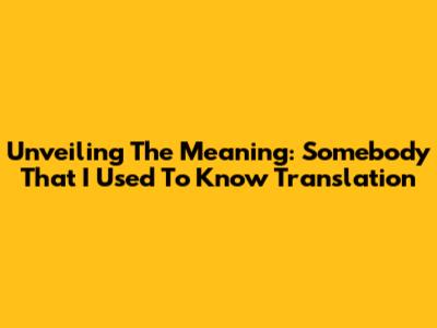 Unveiling The Meaning: 'Somebody That I Used To Know' Translation