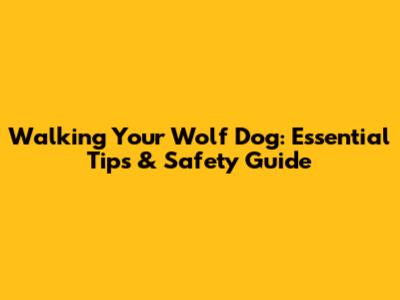 Walking Your Wolf Dog: Essential Tips & Safety Guide