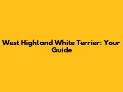 West Highland White Terrier: Your Guide