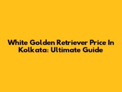 White Golden Retriever Price In Kolkata: Ultimate Guide