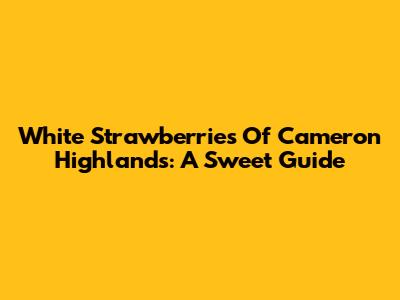 White Strawberries Of Cameron Highlands: A Sweet Guide