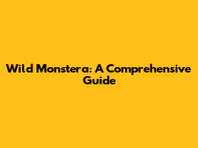 Wild Monstera: A Comprehensive Guide