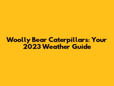 Woolly Bear Caterpillars: Your 2023 Weather Guide