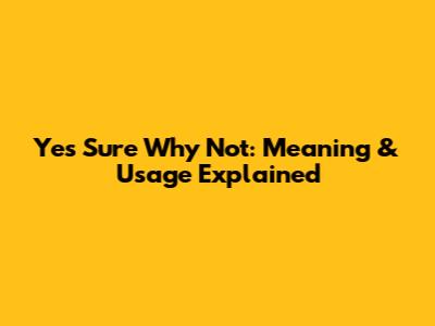 Yes Sure Why Not: Meaning & Usage Explained